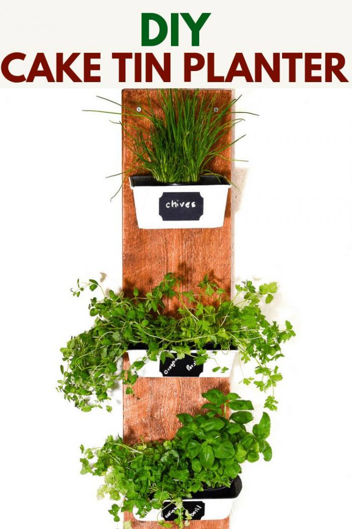 Do you have rusty cake tuins waiting to be upcycled? Transform them with this DIY House plant container. Follow the tutorial to upcycle the cake tins into plant pots #Herbplanter
