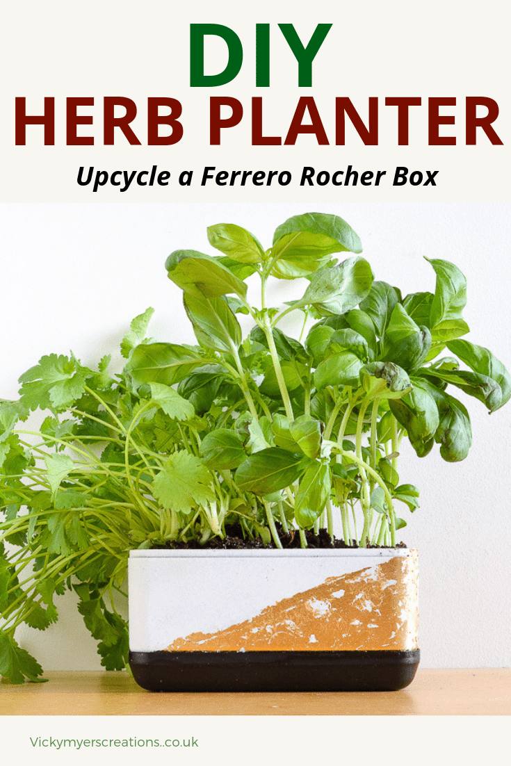 Looking to brighten up your kitchen with a DIY herb garden planter? Learn how to upcycle a Ferrero Roche box into an indoor herb garden box complete with it's own watering tray #herbgardenplanter #indoorhouseplant #kitchenideas #windowsillbox