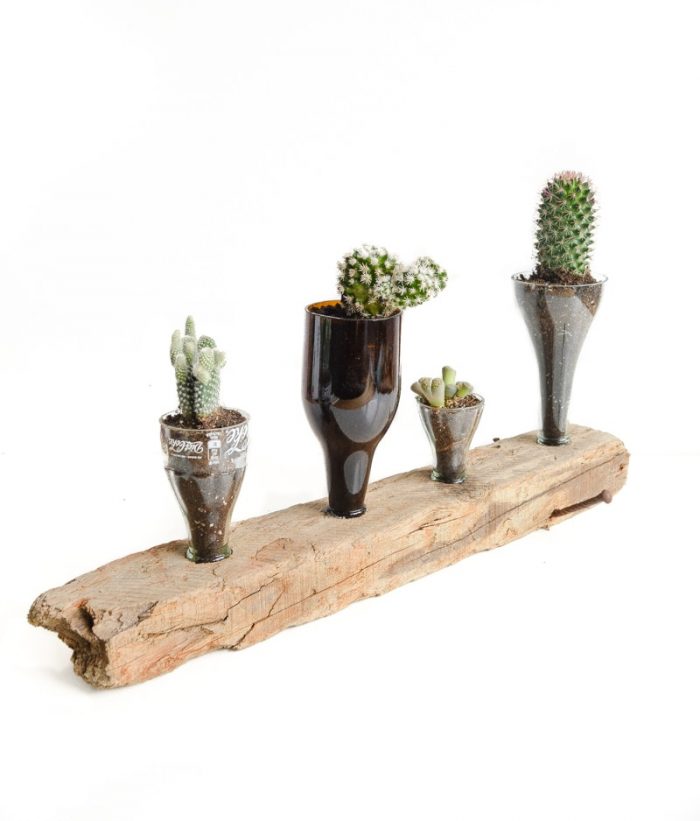 What can you make with glass bottles? Creative things to do with glass bottles, create a DIY Cacti planter, a perfect indoor house planter arrangement #upcycle #indoorplanter
