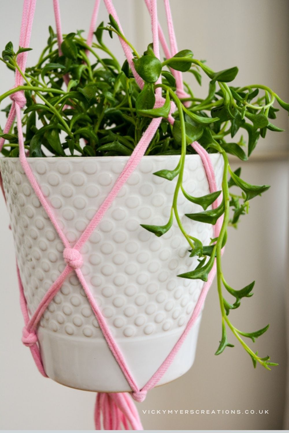 DIY Macrame Plant Hanger made from an old T Shirt. This fabulous upcycled DIY plant hanger takes only an hour to make.